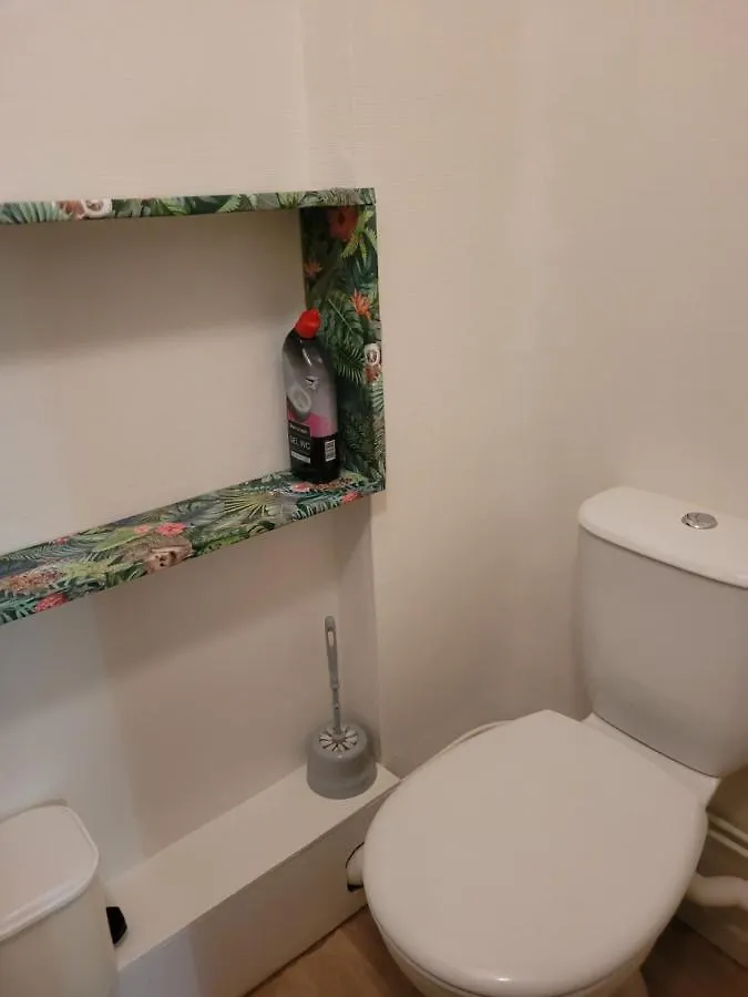 Le Sarciron Apartment Le Mont-Dore