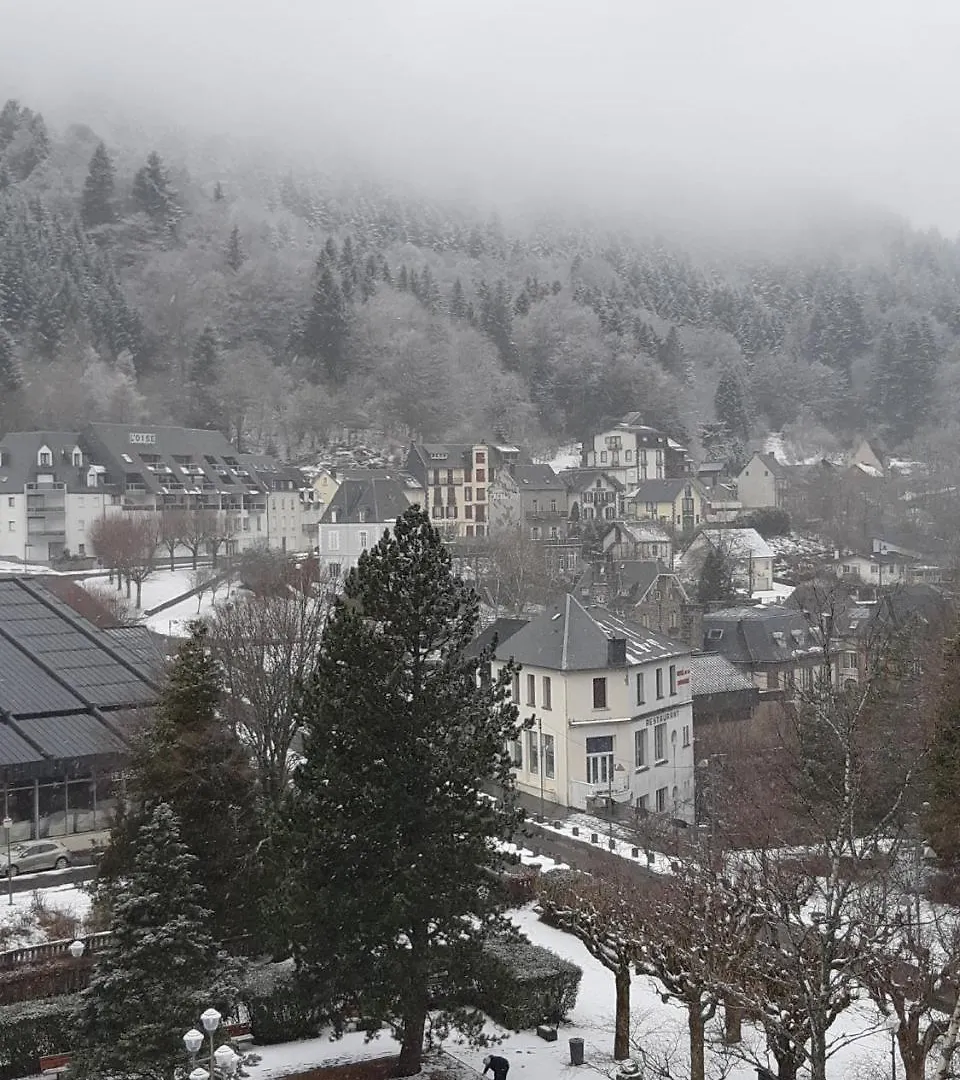 Le Sarciron Apartment Le Mont-Dore